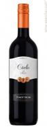 Famiglia Cielo dal 1908 - Pinot Noir 0 (1.5L)